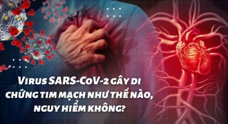 Virus SARS-CoV-2 gây di chứng tim mạch như thế nào, nguy hiểm không?