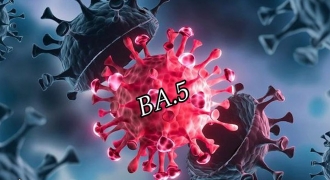 Người đã mắc COVID-19 có nhiễm biến chủng BA.5 không?