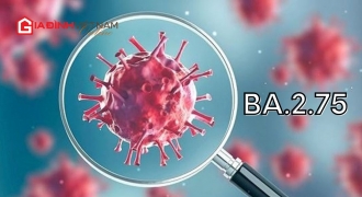 Xuất hiện chủng mới BA.2.75 có khả năng né tránh miễn dịch của vaccine