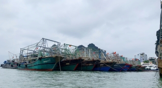 Quảng Ninh tạm ngừng cấp phép tàu du lịch hoạt động do ảnh hưởng cơn bão số 3
