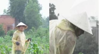 Sở hữu nhà vườn chục tỷ, Trường Giang vẫn đội mưa cuốc đất