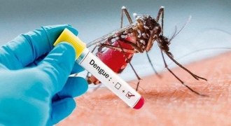 Ghi nhận thêm tuýp virus mới, cả nước có gần 6.000 người mắc sốt xuất huyết