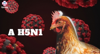 Chuyên gia đưa 3 khuyến cáo giúp phòng chống cúm A/H5N1