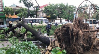 Hình ảnh mới nhất sau bão số 2 tại Nghệ An, Hà Tĩnh