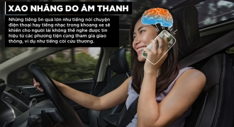 Não bộ không được lập trình để bạn vừa lái xe vừa sử dụng điện thoại