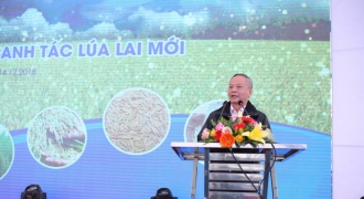 Ra mắt mô hình canh tác Lúa lai mới, nâng cao năng suất và đời sống nông dân Việt Nam