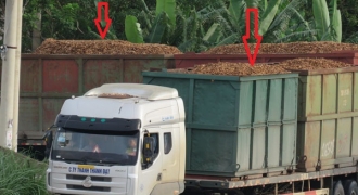 Thanh Hóa: Xe tải chở gỗ dăm không phủ bạt rơi vãi ‘như mưa’ trên QL 1A