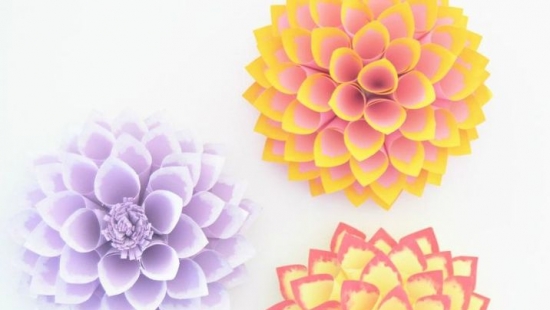 Hướng dẫn Cách làm hoa thược dược bằng giấy đơn giản và đẹp mắt