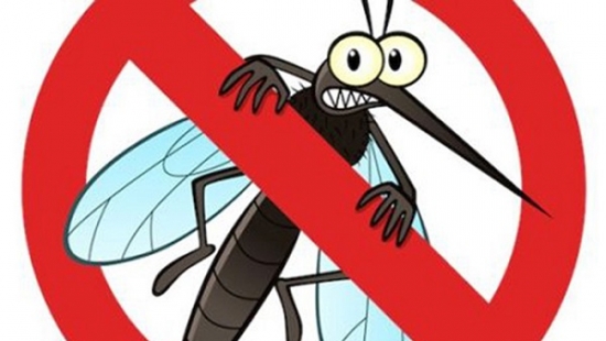 Có nên sử dụng vitamin B1 như phương pháp chính để đuổi muỗi không?