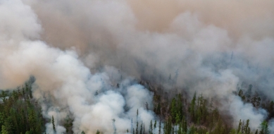 Không còn cháy rừng ở Nga