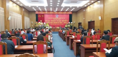 Đại hội lần thứ V Hội Hữu nghị Việt - Nga tỉnh Bắc Giang