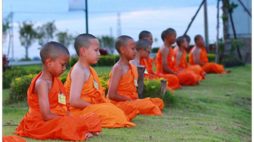 Thiền - Hướng đi của đời con