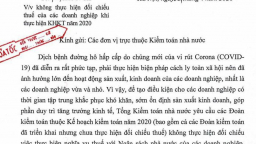Kiểm toán Nhà nước: Không đối chiếu việc thực hiện nghĩa vụ thuế của doanh nghiệp vì Covid-19