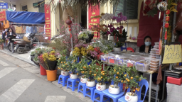 Thị trường hoa tết 2021: Ảm đạm vì dịch Covid - 19