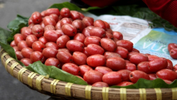 Kiếm bạc triệu mỗi ngày nhờ những món quả ăn vặt đầu hạ