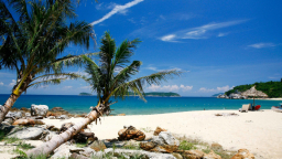 Quảng Nam phát triển du lịch tại đảo Cù Lao Chàm