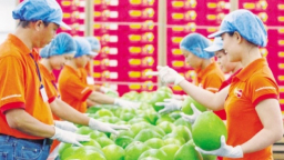 Thành phố Hồ Chí Minh đồng hành cùng doanh nghiệp FDI trong mùa dịch