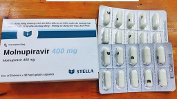 Việt Nam sản xuất thuốc Molnupiravir điều trị Covid-19