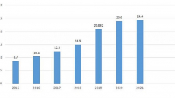 Năm 2021, virus máy tính gây thiệt hại hơn 1 tỷ USD tại Việt Nam
