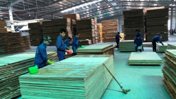 Bắc Kạn tăng cường quản lý hoạt động của các cơ sở sản xuất, chế biến gỗ