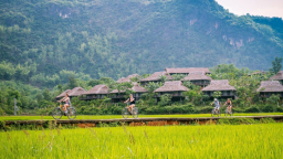 Thành lập Hội đồng thẩm định Chương trình mục tiêu quốc gia Phát triển kinh tế - xã hội miền núi