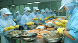 Hoạt động xuất nhập khẩu Việt Nam tăng mạnh nhờ các Hiệp định thương mại tự do