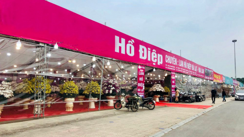 Hà Nội tổ chức Chợ hoa Xuân phục vụ Tết Nhâm Dần 2022