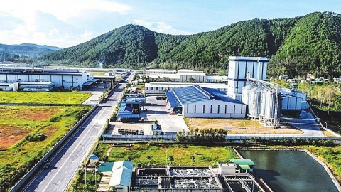 Đài Loan đầu tư 2 Dự án sản xuất giày, dép xuất khẩu 113 triệu USD tại Nghệ An