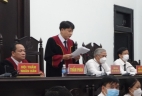 Khánh Hòa: Tuyên án 7 cựu quan chức vi phạm nghiêm trọng quy định về quản lý đất đai