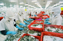 Việt Nam đặt mục tiêu trở thành 5 nước hàng đầu về chế biến thủy sản