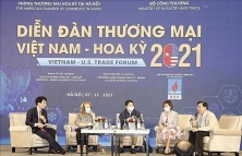 Mỹ mong muốn hợp tác đầu tư với Việt Nam trong lĩnh vực năng lượng, y tế và dệt may