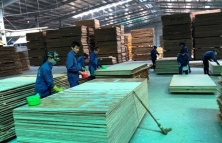 Bắc Kạn tăng cường quản lý hoạt động của các cơ sở sản xuất, chế biến gỗ
