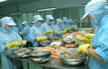 Hoạt động xuất nhập khẩu Việt Nam tăng mạnh nhờ các Hiệp định thương mại tự do