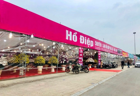 Hà Nội tổ chức Chợ hoa Xuân phục vụ Tết Nhâm Dần 2022