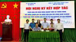 Đột phá mới trong phát triển nông nghiệp hữu cơ thông minh tại Đồng bằng sông Cửu Long