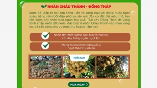 Nhãn Châu Thành - Đồng Tháp lên sàn thương mại điện tử