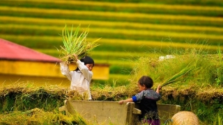 Người lớn lên trong gia đình nghèo khó dù đi đâu cũng khó bỏ 12 thói quen này