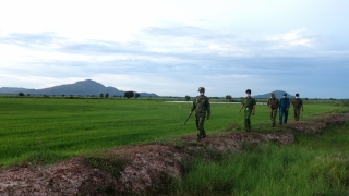 An Giang: Phát huy hiệu quả liên ngành trong phòng, chống buôn lậu, gian lận thương mại và hàng giả