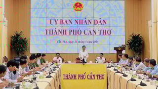 Cần Thơ mở đợt cao điểm ngăn chặn buôn lậu, gian lận thương mại, hàng giả, xâm phạm sở hữu trí tuệ