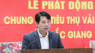 TP. Cần Thơ chung tay tiêu thụ vải thiều Bắc Giang