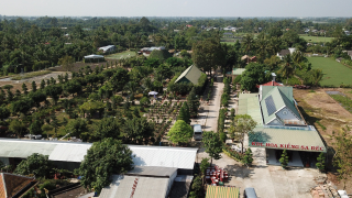 Bản tin Nhịp Sống Miền Tây: Đồng Tháp liên kết TPHCM mở lại du lịch thích ứng với dịch bệnh Covid-19