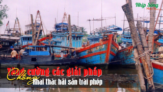 Bến Tre: Tăng cường các giải pháp chống khai thác hải sản bất hợp pháp