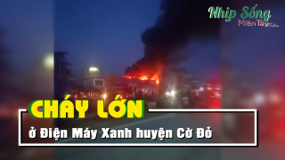 Cần Thơ: Cháy cửa hàng Điện Máy Xanh thị trấn Cờ Đỏ