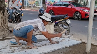 Quận Ninh Kiều cải tạo hai công viên Đồ Chiểu và Sông Hậu đón năm mới