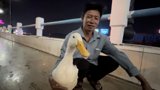 Cần Thơ: Độc lạ “cha con” nông dân - vịt bầu du xuân Bến Ninh Kiều