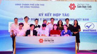 Video: Sâm Ngọc Linh Việt Nam kết nối giao thương với doanh nghiệp miền Tây