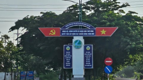 Cà Mau: Mất trộm dây điện đèn chiếu sáng công cộng, điều tra phát hiện sai thiết kế