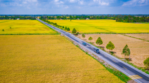 Hậu Giang đầu tư 65 tỷ đồng xây nhà máy chế biến, thu mua lúa gạo