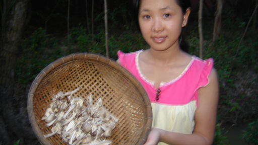 Những câu chuyện lạ về loài thực vật có giá đắt gấp 10 lần thịt heo