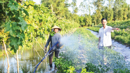 Khởi nghiệp thành công từ nghề nông